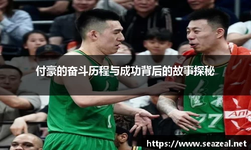 付豪的奋斗历程与成功背后的故事探秘